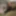 Kolkata top boy Big Dick massage Photo. 