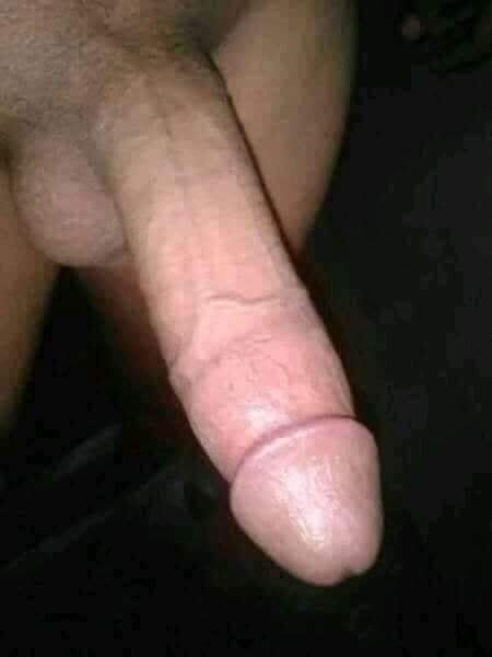 My land #6