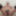 Weighing, Cagecheck plugcheck, stockings September 25, 2023