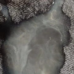 Fresh cum