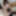 Emi Aoi :: Debut Vol.57 - CARIBBEANCOM #8