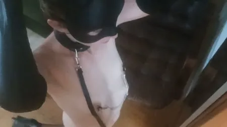 slut on a leash in fishnet stocking sucking big dick         