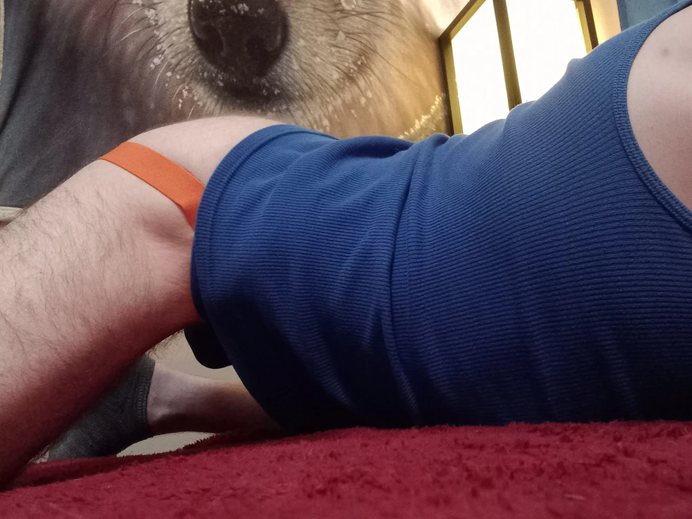 Puppers Showing off in underwear...again #2