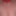 Pet play 2 #2