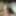 My Dick Pics (Latest) 