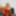 sharom_reyees Free Photos