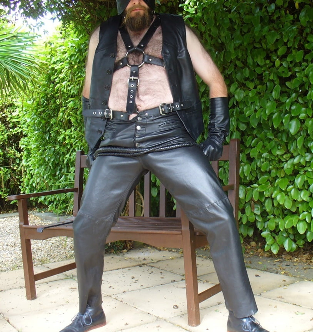 Leather Master outdoors in harness with whip