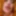 Rolereversal crossdressing pegging  and bisexual men #5