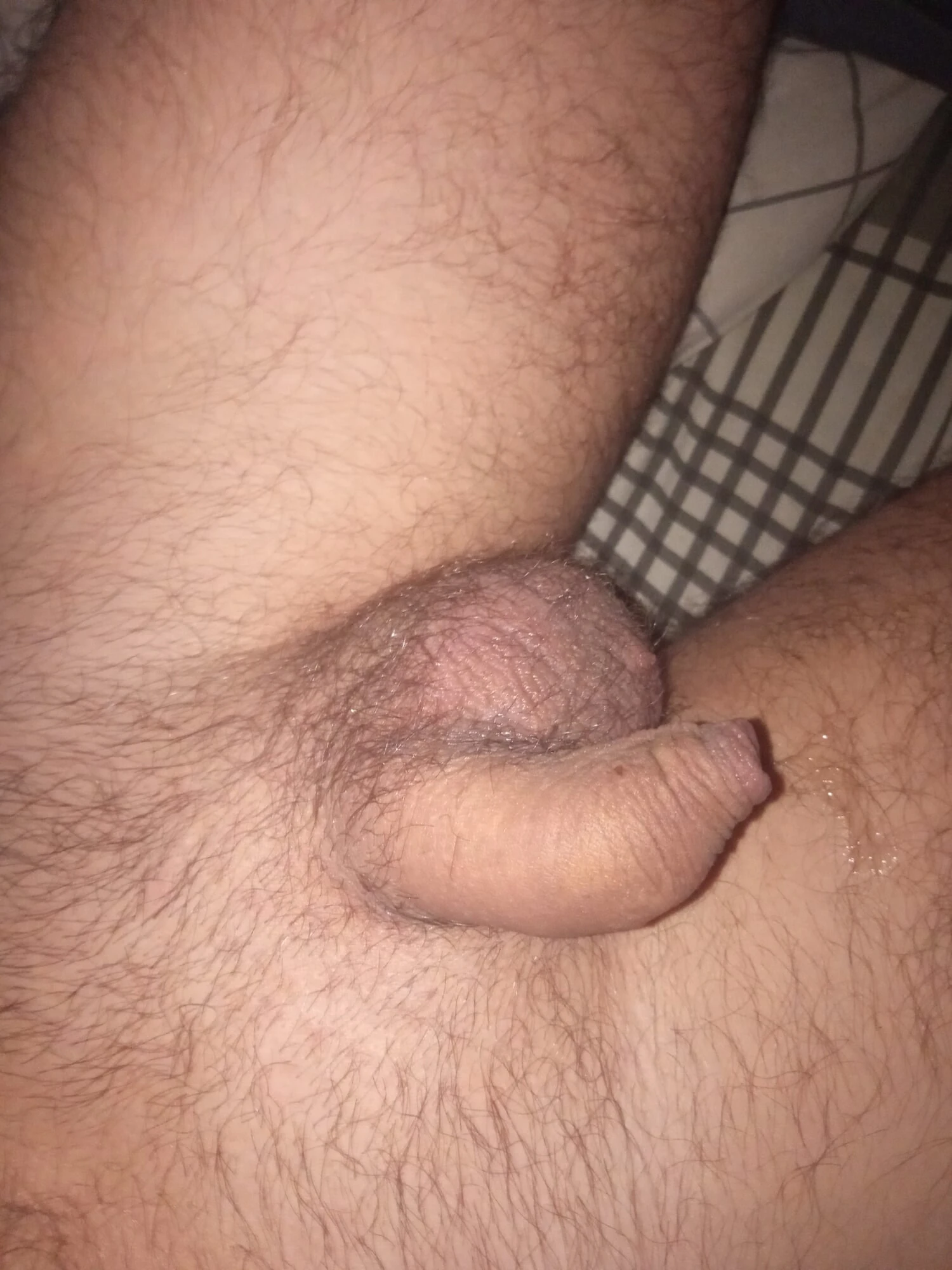 Pau magro