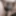 new year,new pix(2020)
