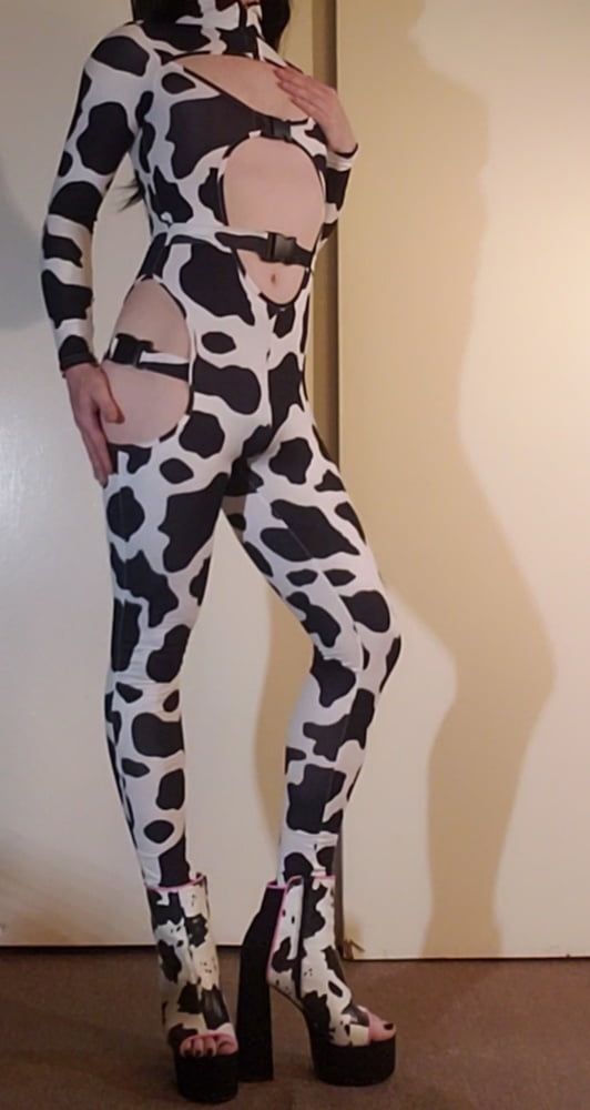 Cow Slut in Her Spots #21