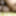 BANGLA NEW MY RANUKA MOTHER IN LAW HARDCORE SEX AFTER GETTIN