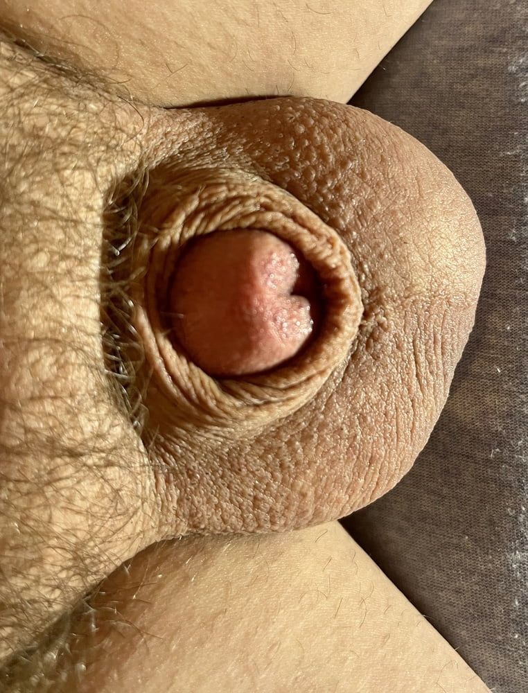 Tiny penis, micro, cock, inverted cock photos #6