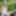 Her first MMF threesome during hot summer BBQ #4