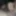 TransManAnalOnly GIFs