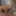 Three hot blondes have fun by sharing one dick #2