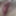 my tits and something else #24