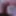 Wish images for Budy8219
