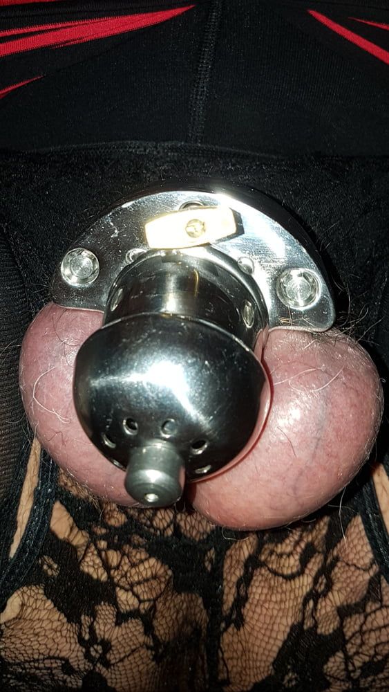 Chastity cage #12