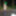 Strip in the woods #3