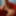 Venus Love Dolls - New Arrival - X2 #13