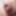 close up penis