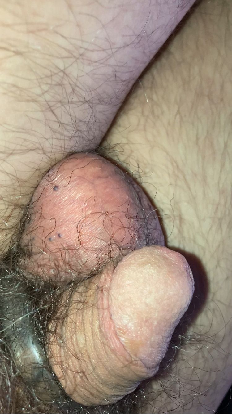 More of my Cute Littlr Dick #3