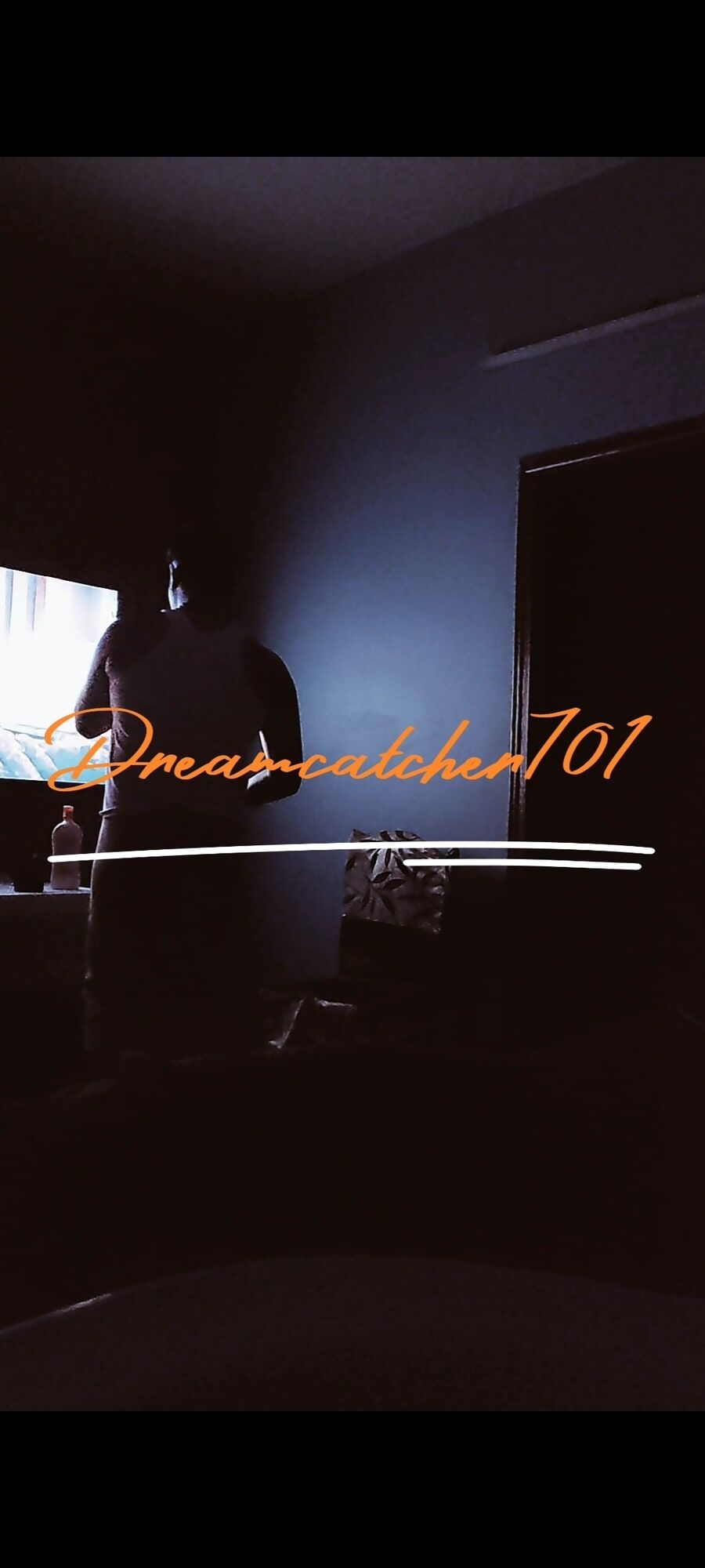 DreamCatcher701.