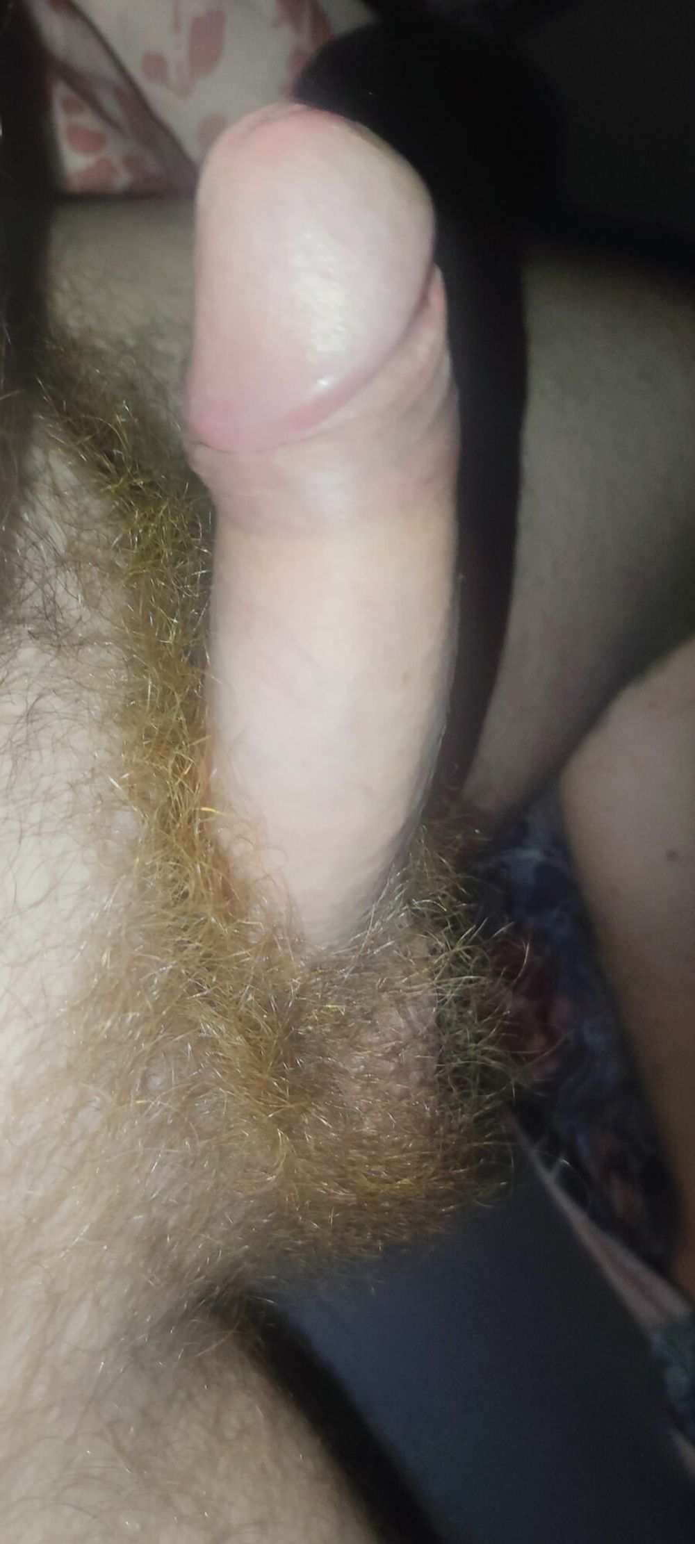 My Red Bush Dick #7