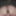 My Gif Gallery
