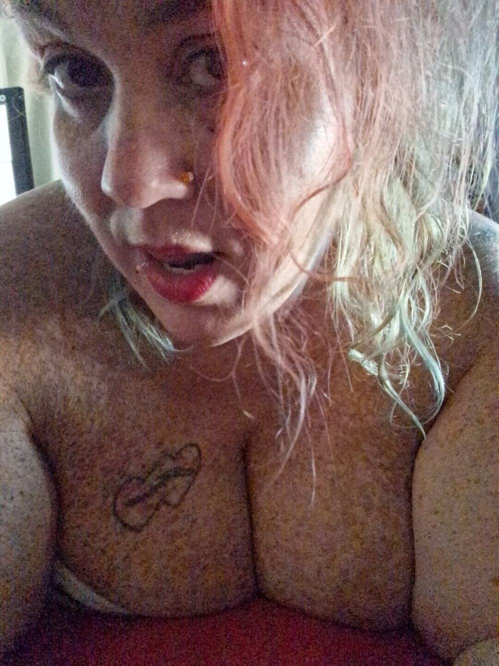 Courdles Free Photos #6