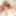 Mature milfs and gilfs from OlderWomanFun #5