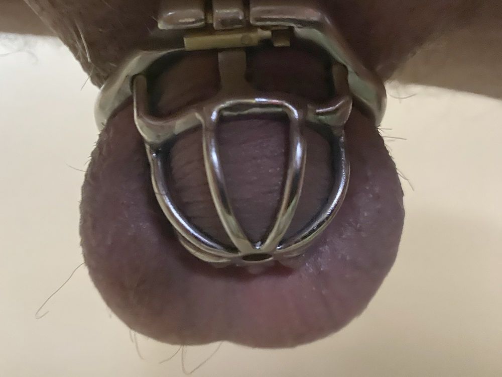 My Little Cock Cage for My Little Cock #6