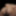 BBW Transgender Thick and Juicy in The Void #10