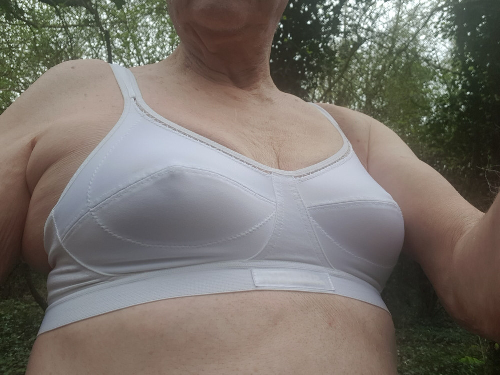In the wood  #5