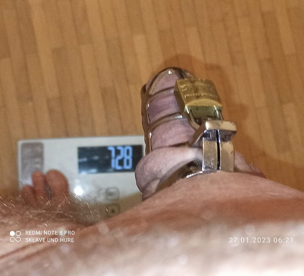 No play, only weighing and cagecheck of 27.01.2023