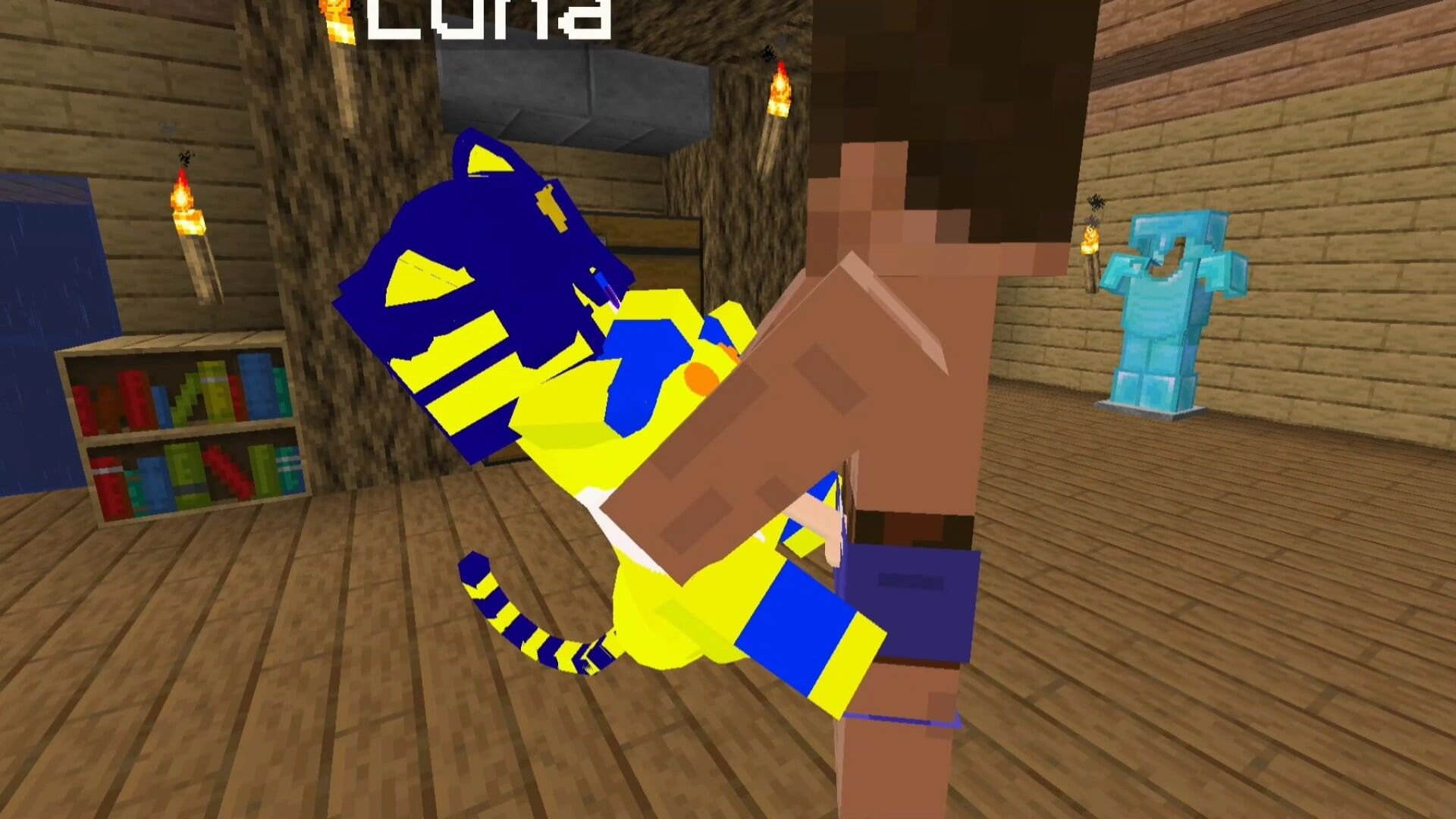 Minecraft Fapcraft Jenny Mod Ankha from Crossing #6