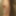 Dildo Shower Wig thicc fem CD transgender bottom booty  #8