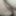 Wife Rubbing her Pussy for Orgasm #6