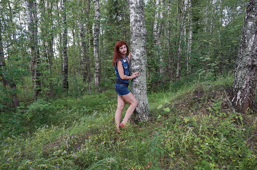 In birch Forest #10