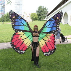 Wings of Butterfly