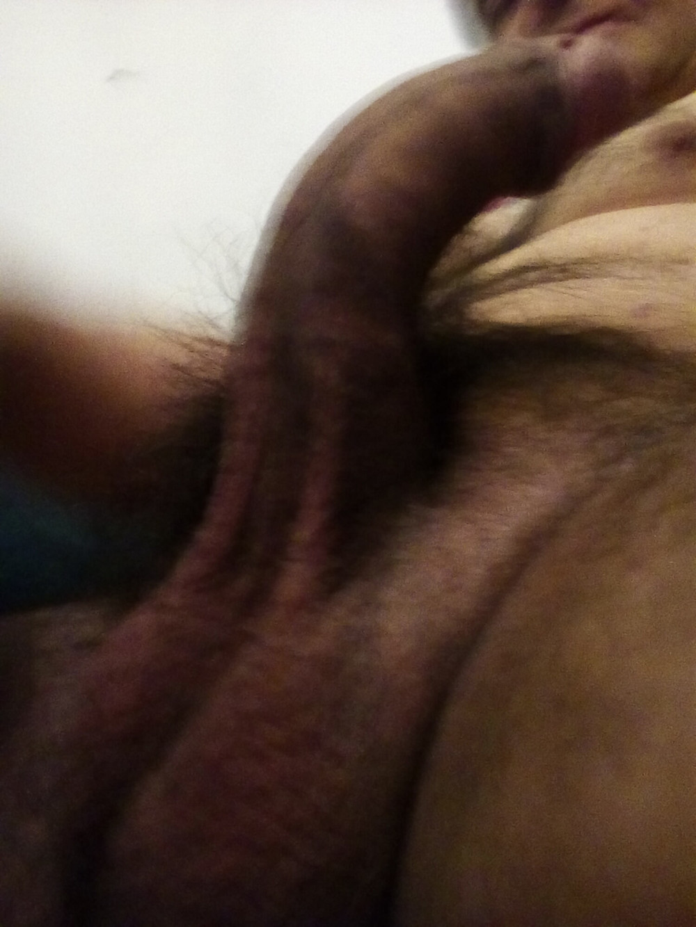 StallionXXX #13