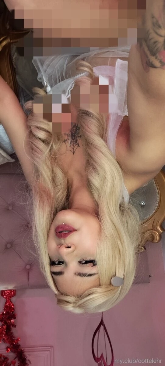 blondie Free Photos #6