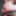 Super hot photoshoot during my anal sex videos #31