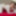TGIRLS.XXX: Eyeful of Autumn Rain