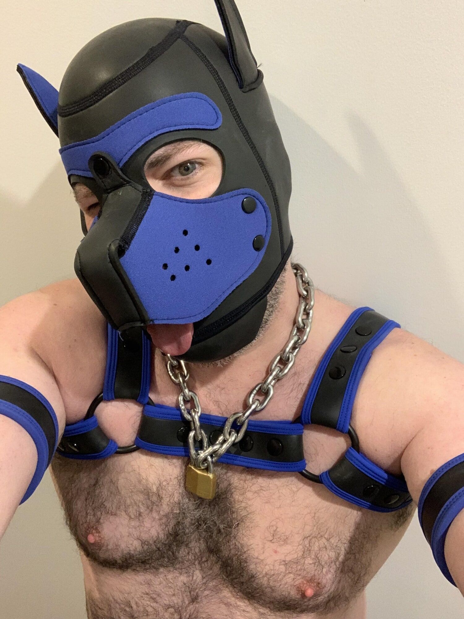 Do you like beefy pups in gear? #2