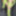 Green Mesh Lingerie #44