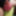 my new photos #14