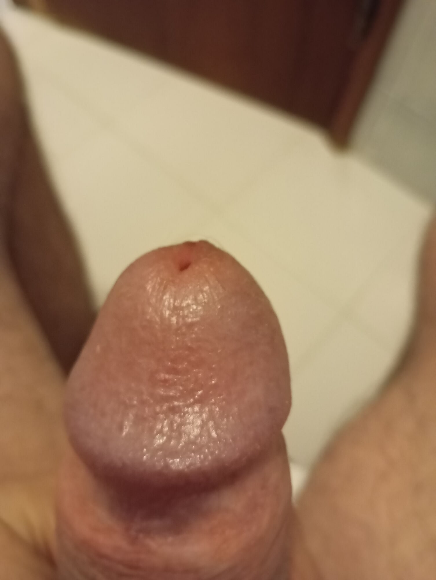 Dick 