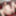 Maki Hojo Becomes a Muse 